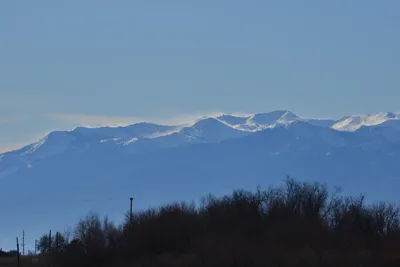 DSC_6044 (Large).JPG